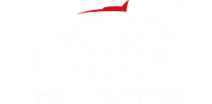 Leoch